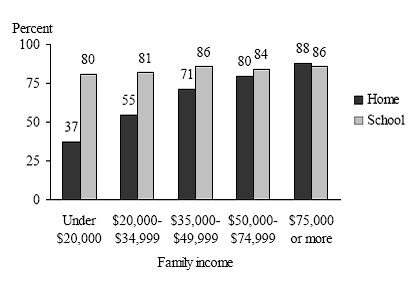 Computer use by race